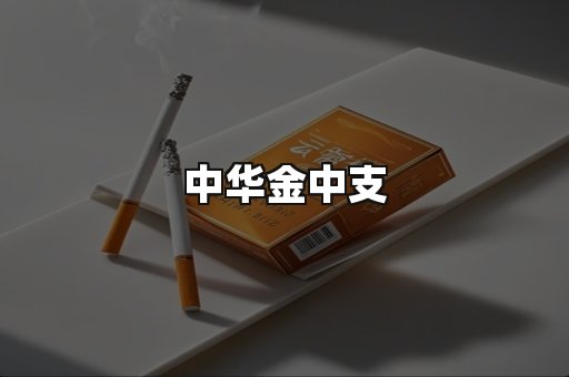 中华金中支